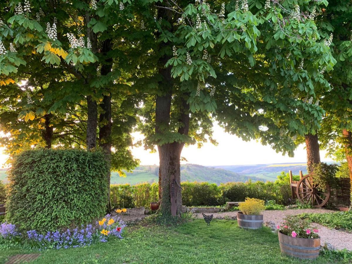 Bed and Breakfast La Flavignienne Флавиньи-сюр-Озрен Экстерьер фото
